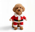 Hunde-Weihnachtskostüm